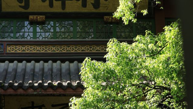 杭州の霊隠寺・飛来峰 優先入場チケット付き半日帰りツアー(予約込み)|オプションで送迎サービスあり(乗り換え不要)