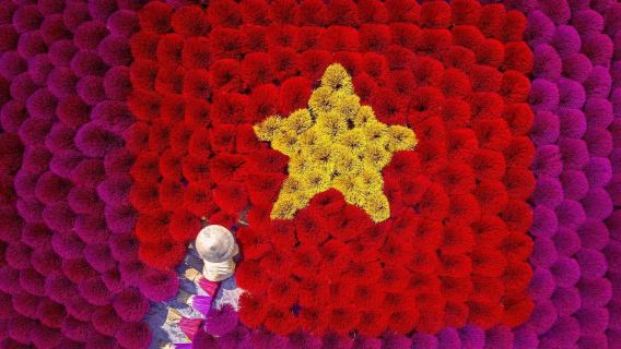 From Hanoi: Best Day Trip to Quang Phu Cau Incense Village, Tam Coc Boat Trip, Hoa Lu