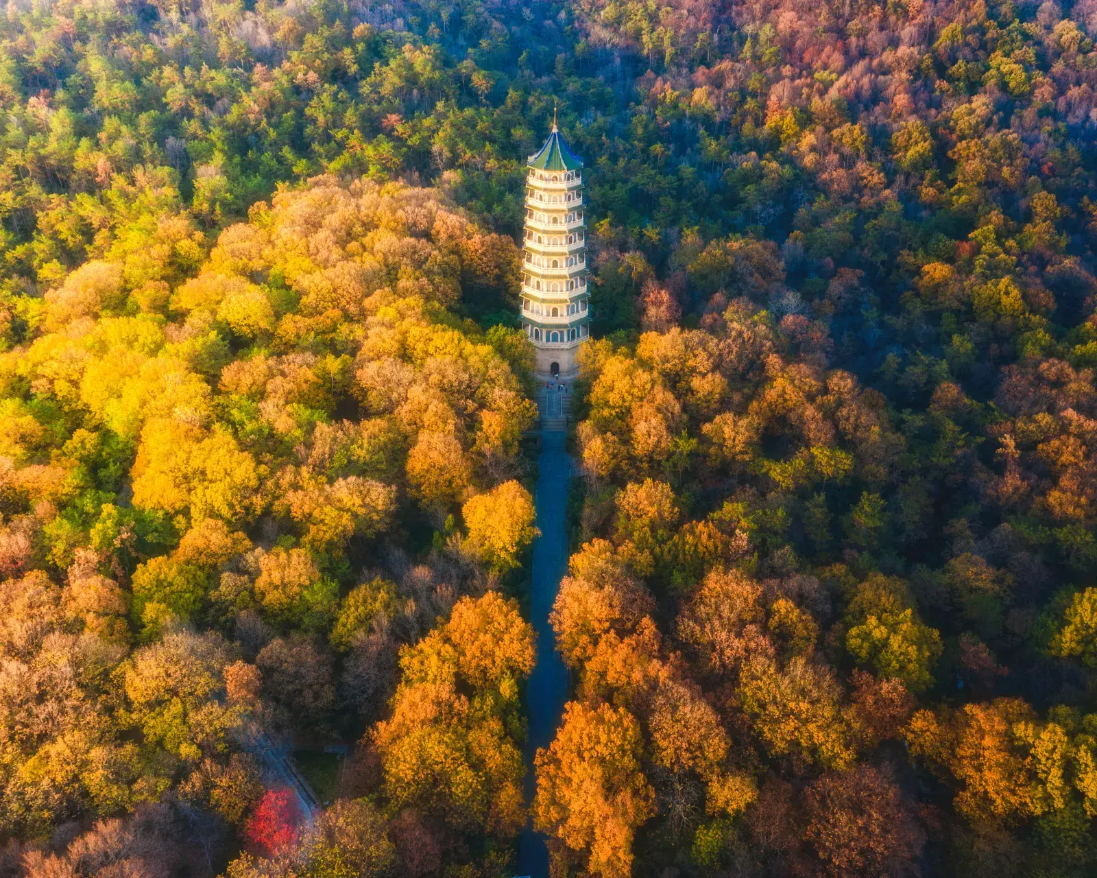 Nanjing Fall Foliage Tour: The Ming Tomb + Linggu Si + Zhongshan Mountain National Park