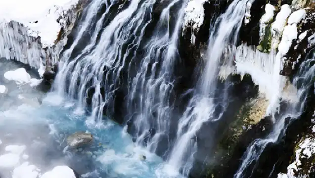 9人小團／巴士團丨北海道旭川美瑛一日遊|四季彩丘+聖誕樹