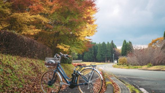 【熊本の美しい田園風景】高森＋休暇村＋上色見熊野座神社／貸切チャーター送迎付き