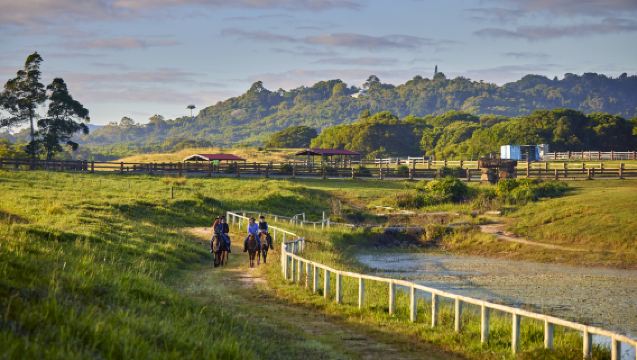 Cairns Kuranda Rainforest + KUR-Cow Barnwell Farm 1-day tour - with train or cable car + includes dinner