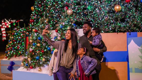 ZooTampa: Christmas in the Wild