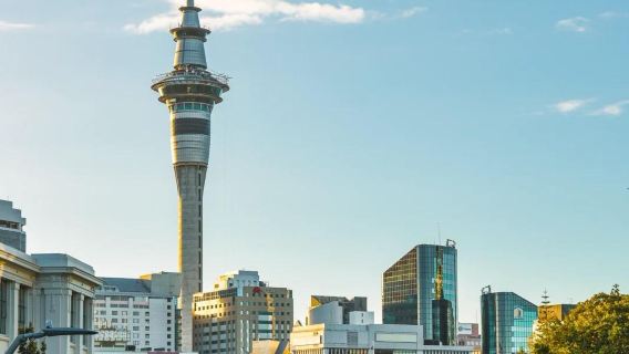 紐西蘭凱利塔頓海底世界+天空塔+鯨魚海豚之旅【可定制行程】