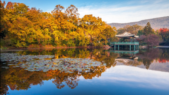 Nanjing, Jiangsu Translation/Guide/Local Guide Services in Chinese, English, Russian, French, and Other Languages - Including Scenic Spot Guiding, On-Site Interpretation, and Accompanying Guide Services