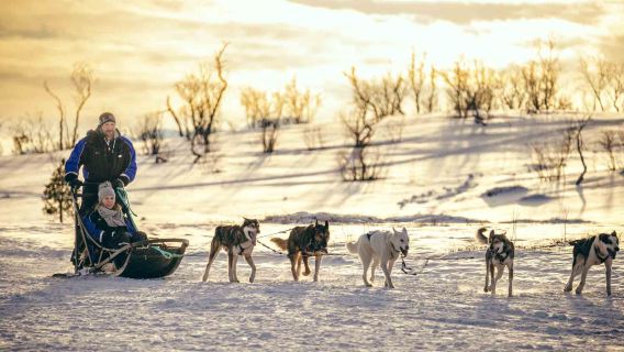Tromso|Kem Husky - Memandu Sled/Menaiki Sled