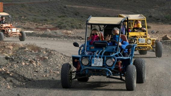 富埃特文圖拉島：導覽越野車之旅 + 飯店接送