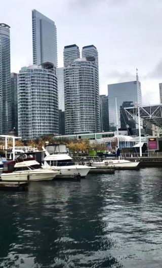 多倫多大學+多倫多雷普利水族館+國家電視塔+多倫多港灣