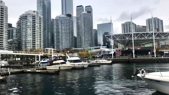 Universitas Toronto + Akuarium Ripley + Menara CN + Pelabuhan Toronto