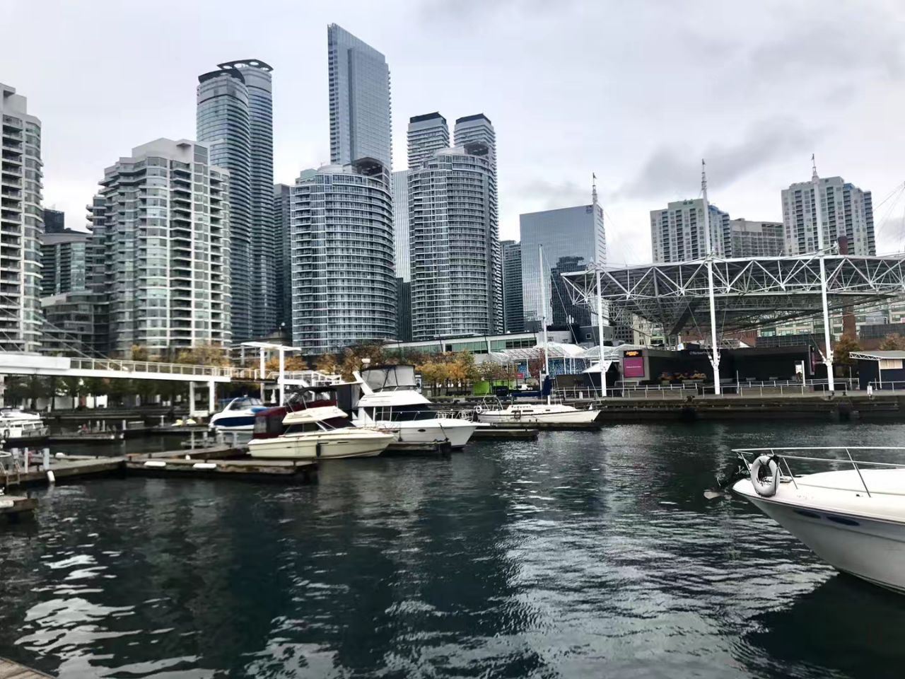 토론토 대학교+토론토 리플리 아쿠아리움+CN 타워+토론토 항구