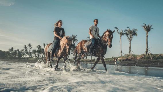 Experiencia de equitación en la playa negra de Bali, Saba Beach