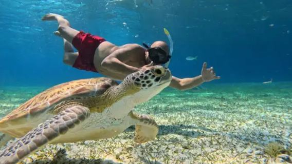 Tagesausflug mit Pferdereiten am Strand und Schnorcheln mit Schildkröten im Norden von Mauritius