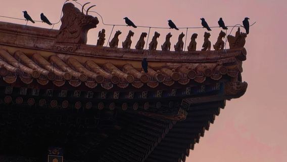 故宮導覽/故宮一日遊/達人導遊，深度導覽，帶您進宮聽故事/以物述史，讀懂故宮的「前世今生」/多組合任選