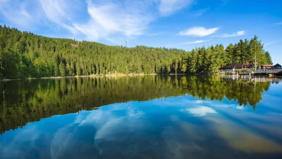 法蘭克福周邊封神路線包車｜巴登巴登溫泉 + 黑森林包車一日遊