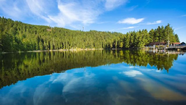 Sewaan peribadi laluan terbaik sekitar Frankfurt | Baden-Baden spa + lawatan sehari sewaan peribadi Hutan Hitam
