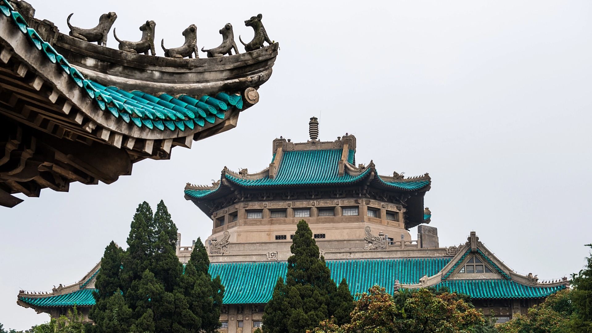 Premium Private Tour | Wuhan University Exclusive Guide Tour