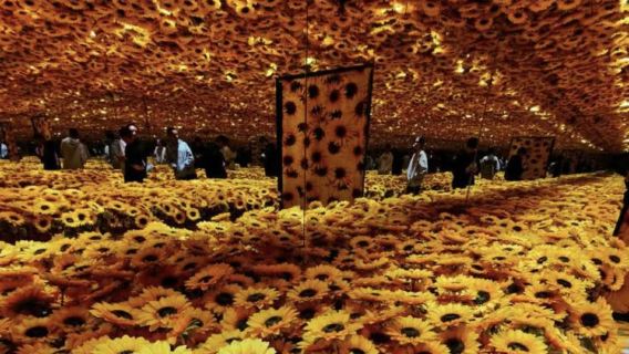 Changsha Starry Sky Art Museum (Immersive Art Landmark + Exploring the Mystery of Colors + Photography Paradise)