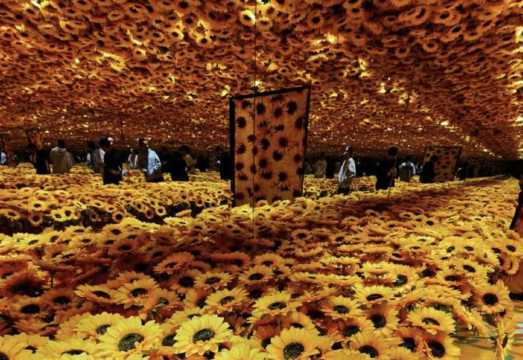 Changsha Starry Sky Art Museum (Immersive Art Landmark + Exploring the Mystery of Colors + Photography Paradise)