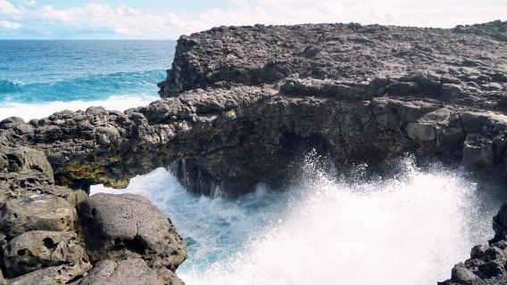 塔馬蘭灣+黑河谷國家公園+莫納山半島+貝尼奇耶島｜包車一日遊