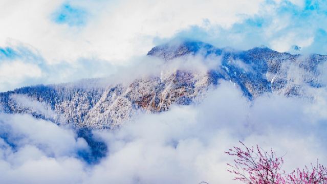 "Gunung Salji dan Bunga Persik Bersinar Merah" Lawatan Sehari Sewaan Peribadi di Nyingchi - Kampung Bunga Persik Gala + Pekan Lulang