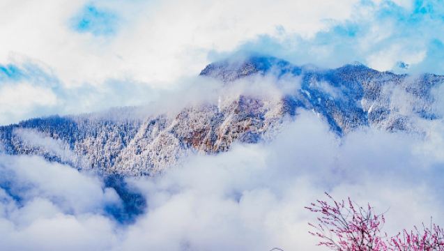 "Gunung Salji dan Bunga Persik Bersinar Merah" Lawatan Sehari Sewaan Peribadi di Nyingchi - Kampung Bunga Persik Gala + Pekan Lulang