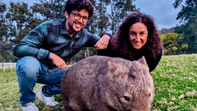 [시드니] 웜뱃&캥거루&매쿠아리 패스 국립공원 풀패키지