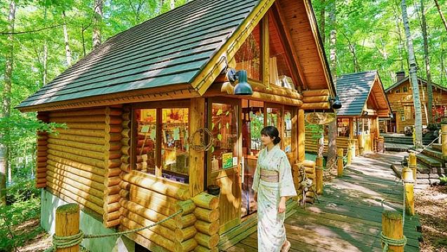 Hokkaido Asahiyama Zoo + Forest Terrace + Shirahige Falls 1-day tour | 40-person bus tour group