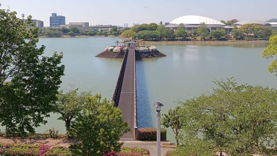 Half-day tour of Fukuoka Kayoicho Park by train with a guide