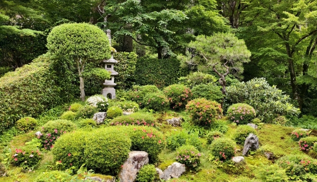 京都の深山古刹 苔庭で心静める旅：三千院＋貴船神社＋鞍馬寺＋鴨川