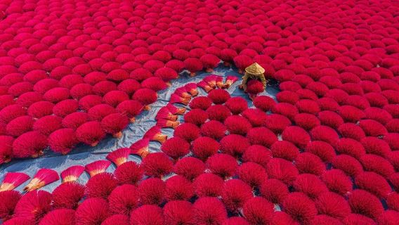 Privater Tagesausflug in die Umgebung von Hanoi | Incense Village + alte Hauptstadt Hoa Lư + Naturschutzgebiet Van Long