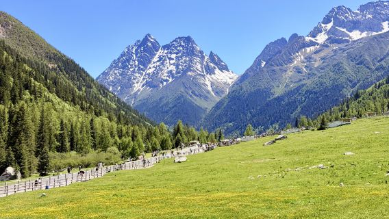 Lawatan Sehari Santai ke Gunung Siguniang Baharu [Kumpulan Eksklusif 2-8 Orang & Termasuk Tiket Masuk + Jemputan Pagi & Fotografi Pelancongan]