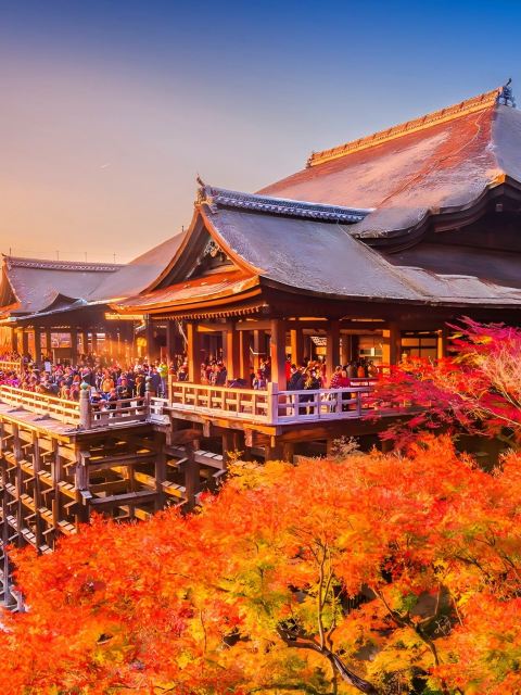 京都千年古韻:伏見稻荷大社、奈良餵鹿一日遊,可選小團酒店接送