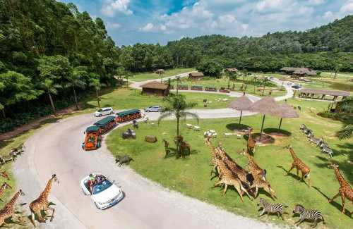 廣州長隆野生動物世界一日遊