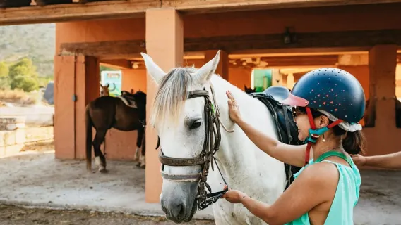 Mallorca: Horseback Riding Excursion and Wine Tasting