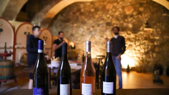 Lugana : visite des vignobles et dégustation de vin Lugana