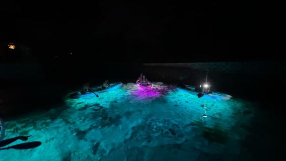 Crystal River: Clear Kayak Sunset & Night Glow Tour