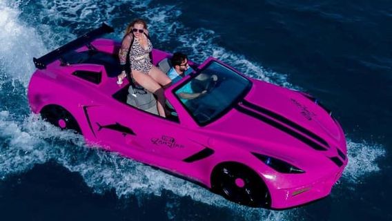 希少　♡ピンクアメジスト♡ サメ Shark 海シリーズ　カービング　ジオード Zanzibar Aqua Thrills: Jet Ski, Kayak & Jet Car Adventure | Trip.com