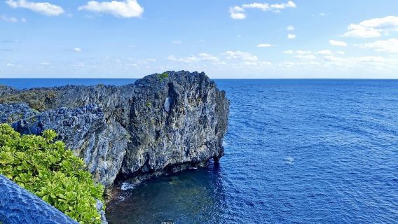 沖繩山原秘境｜邊戶岬·安須社聖地一日遊【不含票】