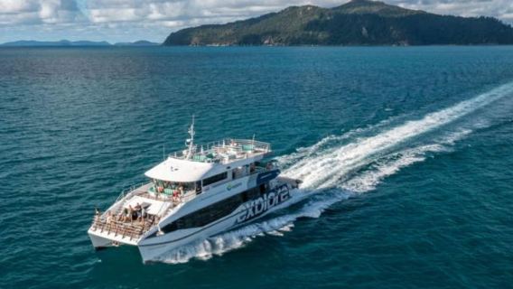 Tour di mezza giornata alle Isole Whitsunday: Whitehaven + Hill Inlet/snorkeling con partenza da Hamilton Island