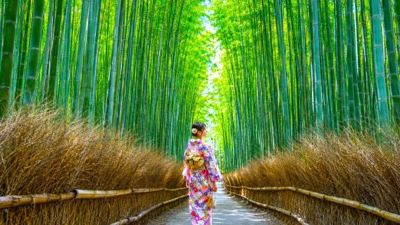 Djupgående upplevelse av Kyotos tre främsta sevärdheter: Fushimi Inari-taisha, Kiyomizu-dera och Arashiyama på en dag (valfri avgång eller avslut i Kyoto/Osaka, kinesisk- och engelsktalande guide tillgänglig)