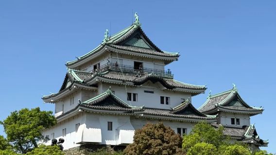 Osaka tur och retur | Endagsutflykt Japan Kimii-dera - Tamaden - Kuroshio-marknaden - Wakayama slott [Kinesisktalande charterbil · upphämtning vid hotellet · skräddarsys efter önskemål]