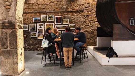 Porto: Vandretur med Port- og Douro-vinsmagning inklusive 9 smagninger