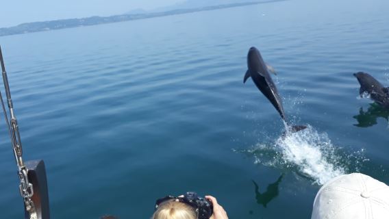Amvrakikos Dolphin Cruise
