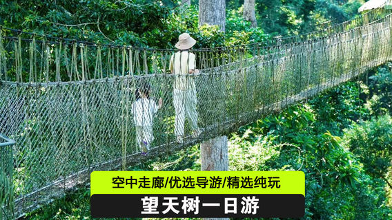 西雙版納日遊
