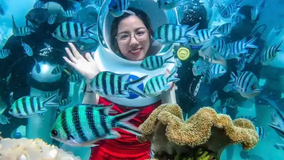 富國島快艇三島遊+海底漫步【珊瑚公園+浮潛+遊艇觀光+午餐】