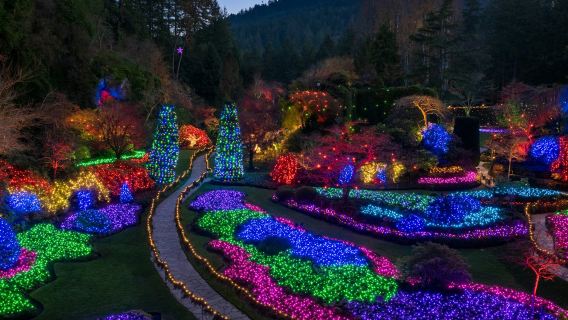 Victoria: Recorrido navideño con los Jardines Butchart desde Vancouver