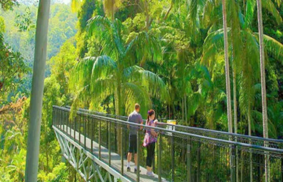 天寶林山熱帶雨林空中走廊：入場門票小童