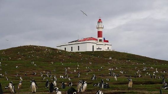 Punta ArenasTours