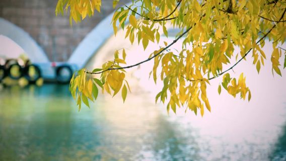 Eatwith Momenti Condivisi - Pechino - Pratica mattutina del Ba Duan Jin per il benessere e degustazione di autentiche colazioni e snack tipici di Pechino