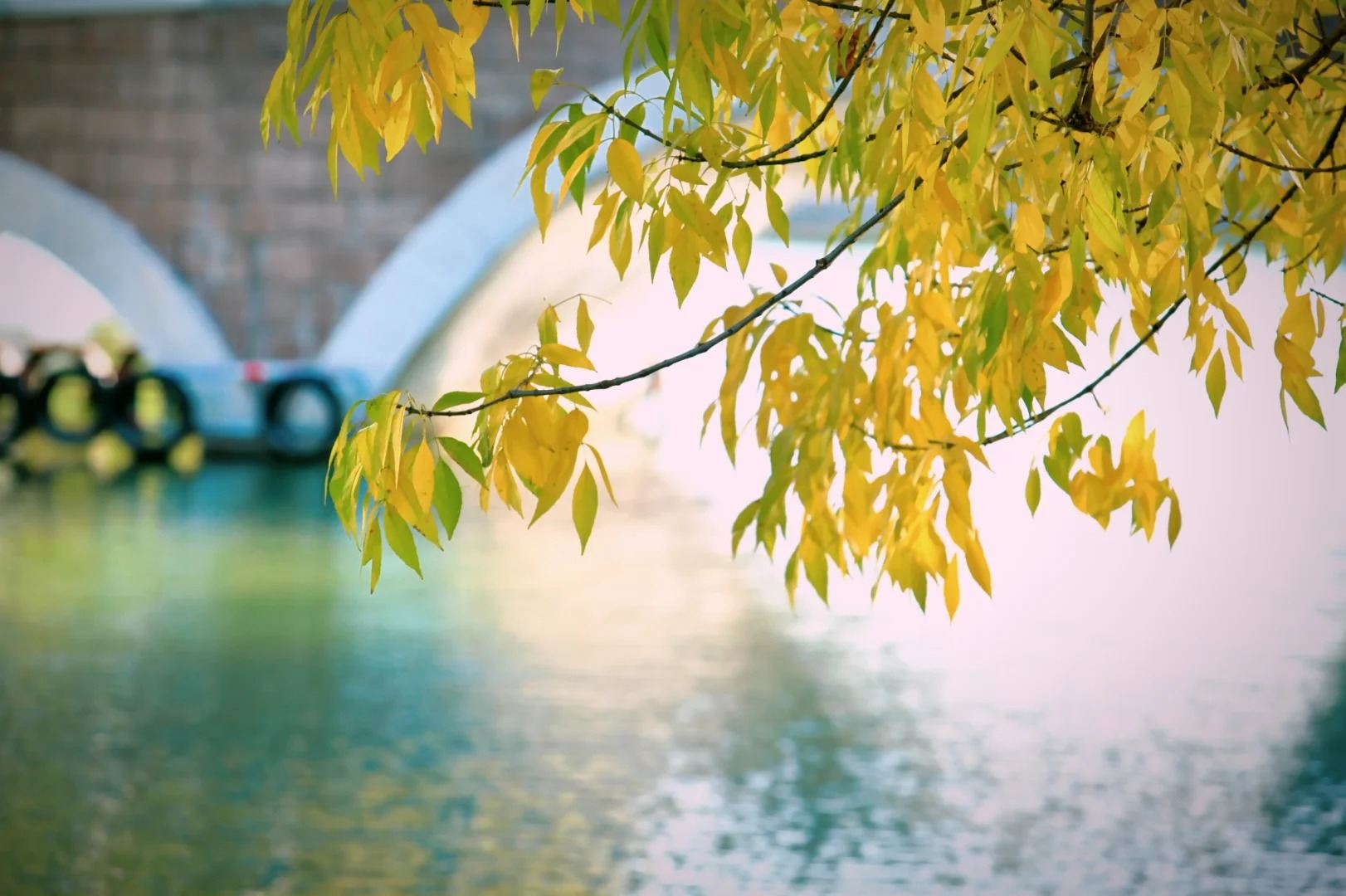 Practice Traditional Qigong and Enjoy Authentic Beijing Breakfast